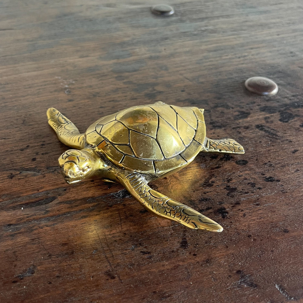 Brass Turtle Figurine on table by Ocean Luxe