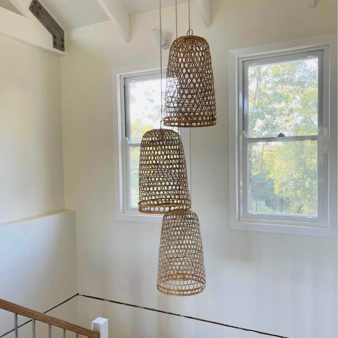 The Darwin Pendant Light