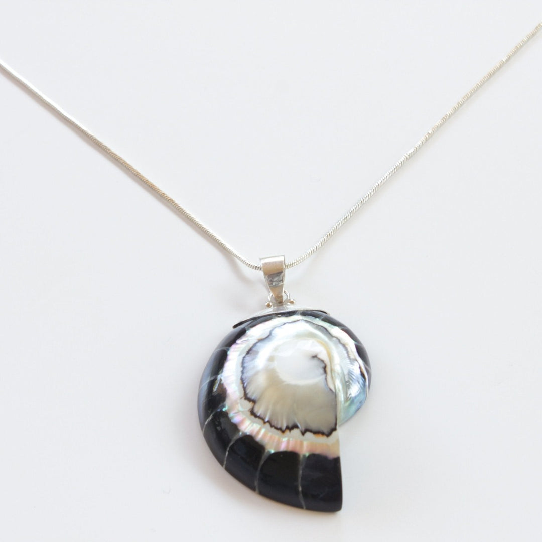 Ocean Luxe:Midnight Black Nautilus Pendant Necklace