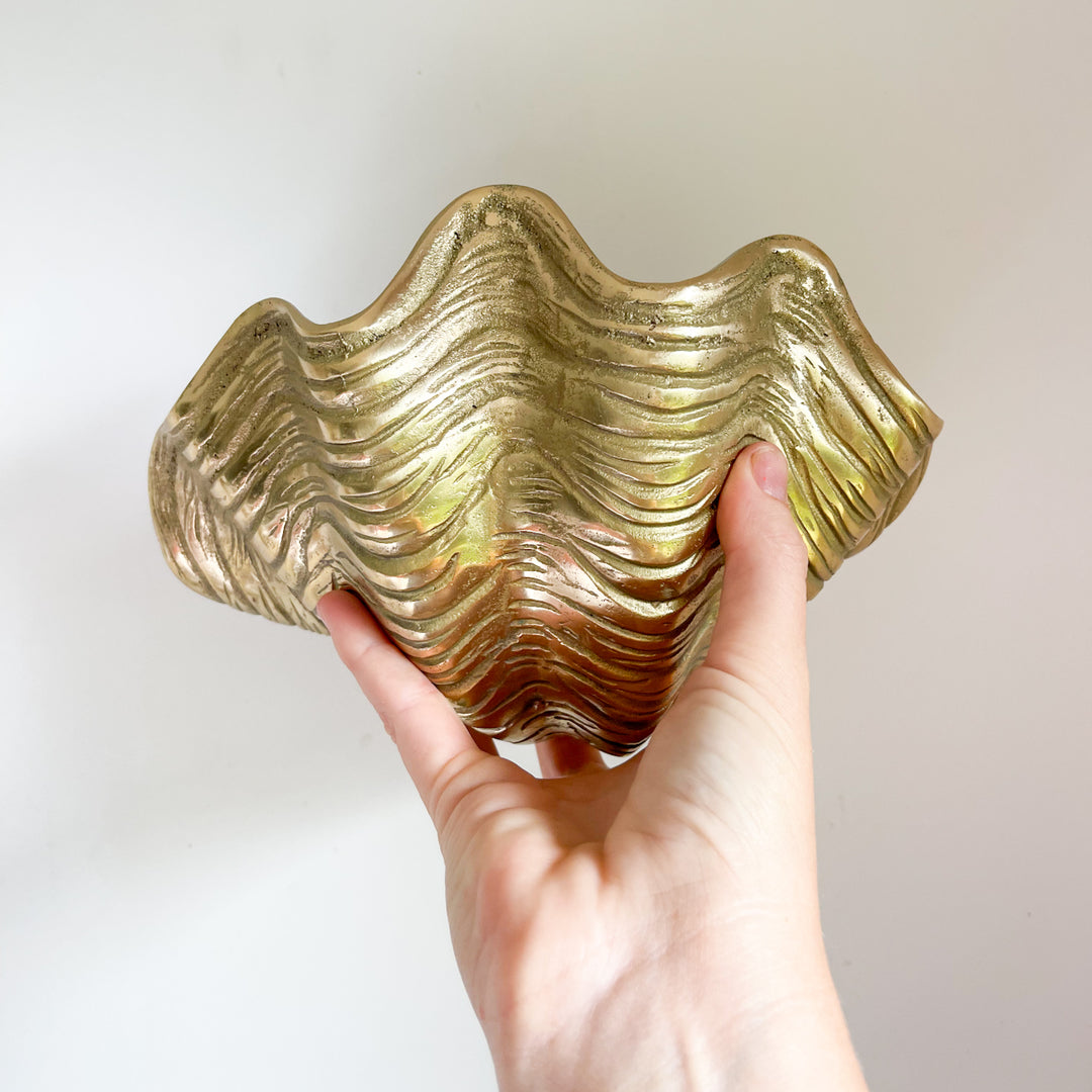 Brass Clam Shell