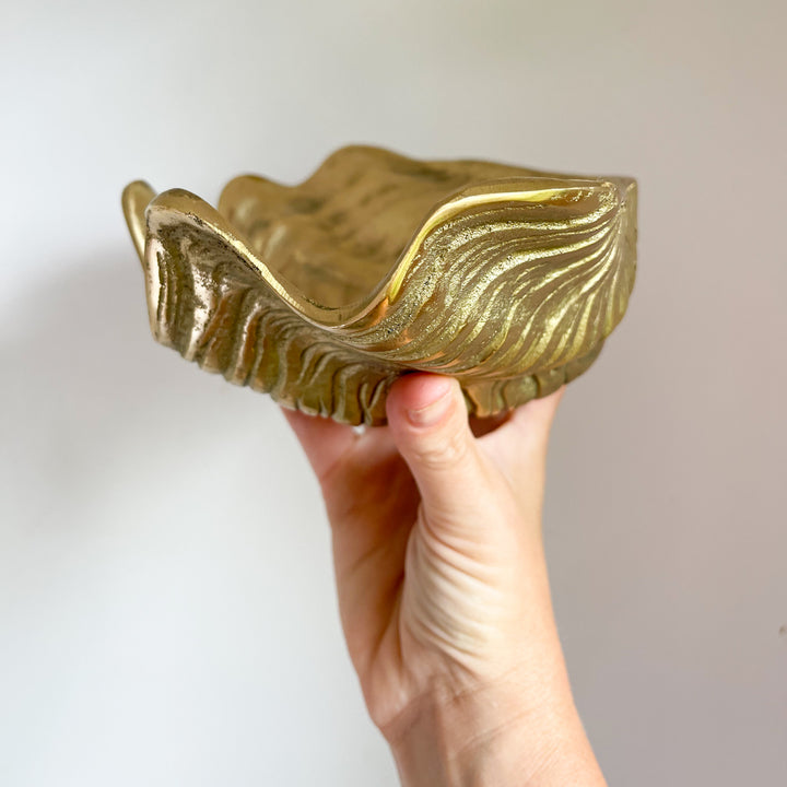 Brass Clam Shell