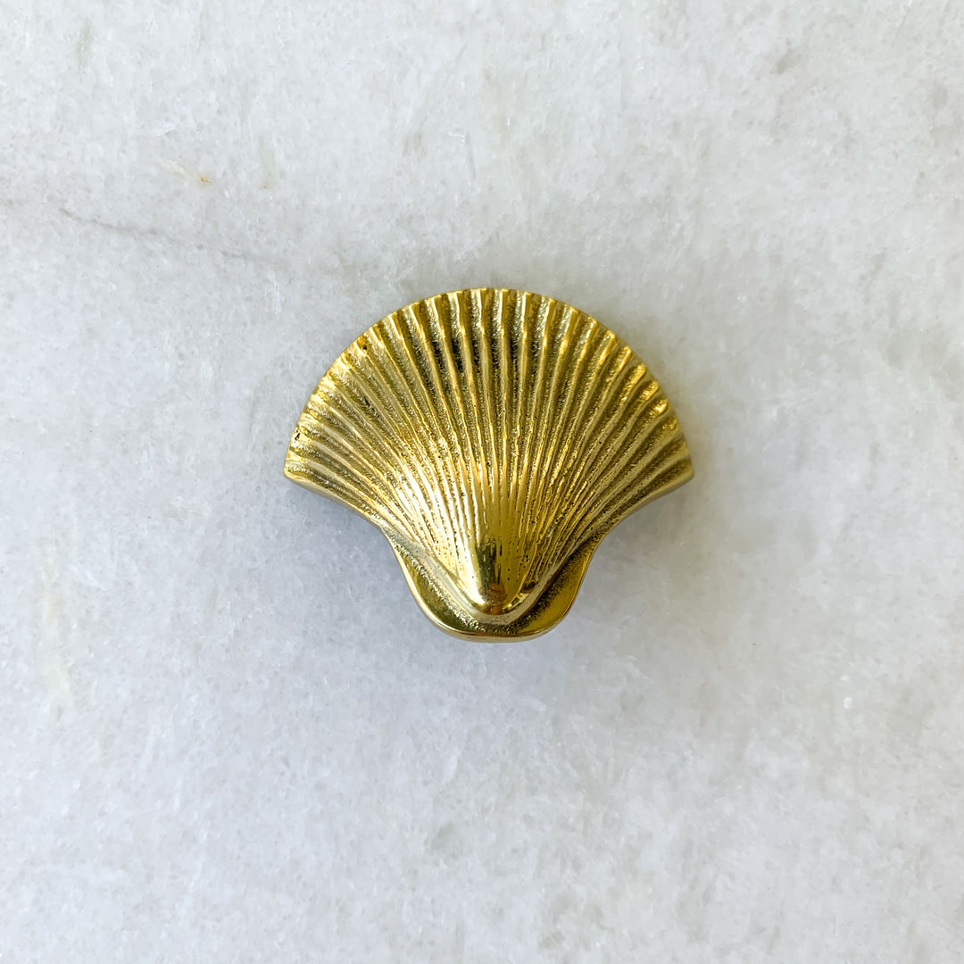 Sea Shell Knob: Ocean Luxe