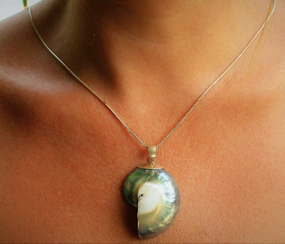 Ocean Luxe:Pearl Nautilus Pendant Necklace